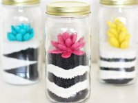 PLG Sand Art Succulents